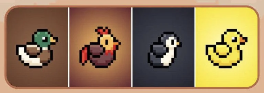 BIRD Daily Combo 14 May 2025